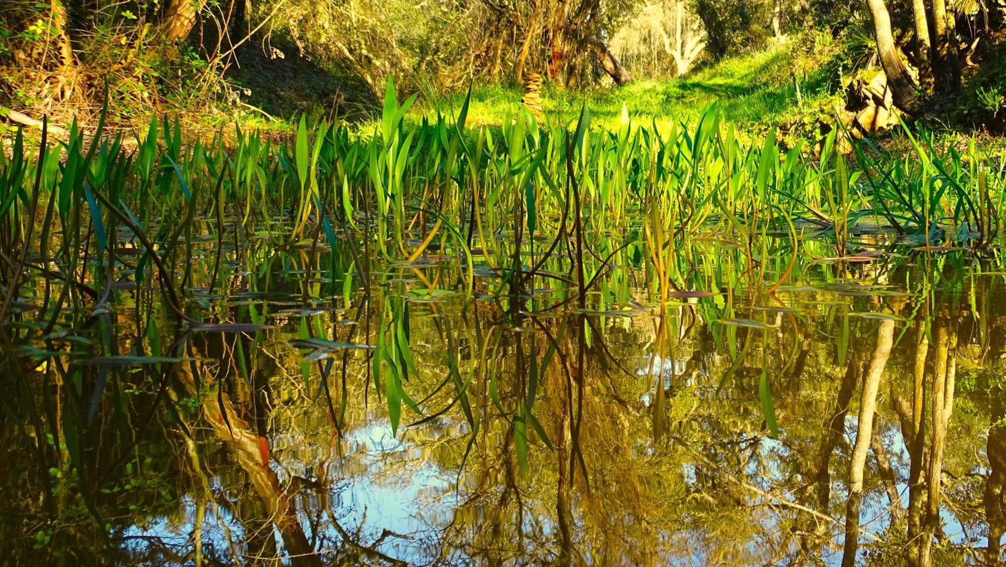 Herdade Vale De Gaios By Stay In Alentejo 상루이스 외부 사진