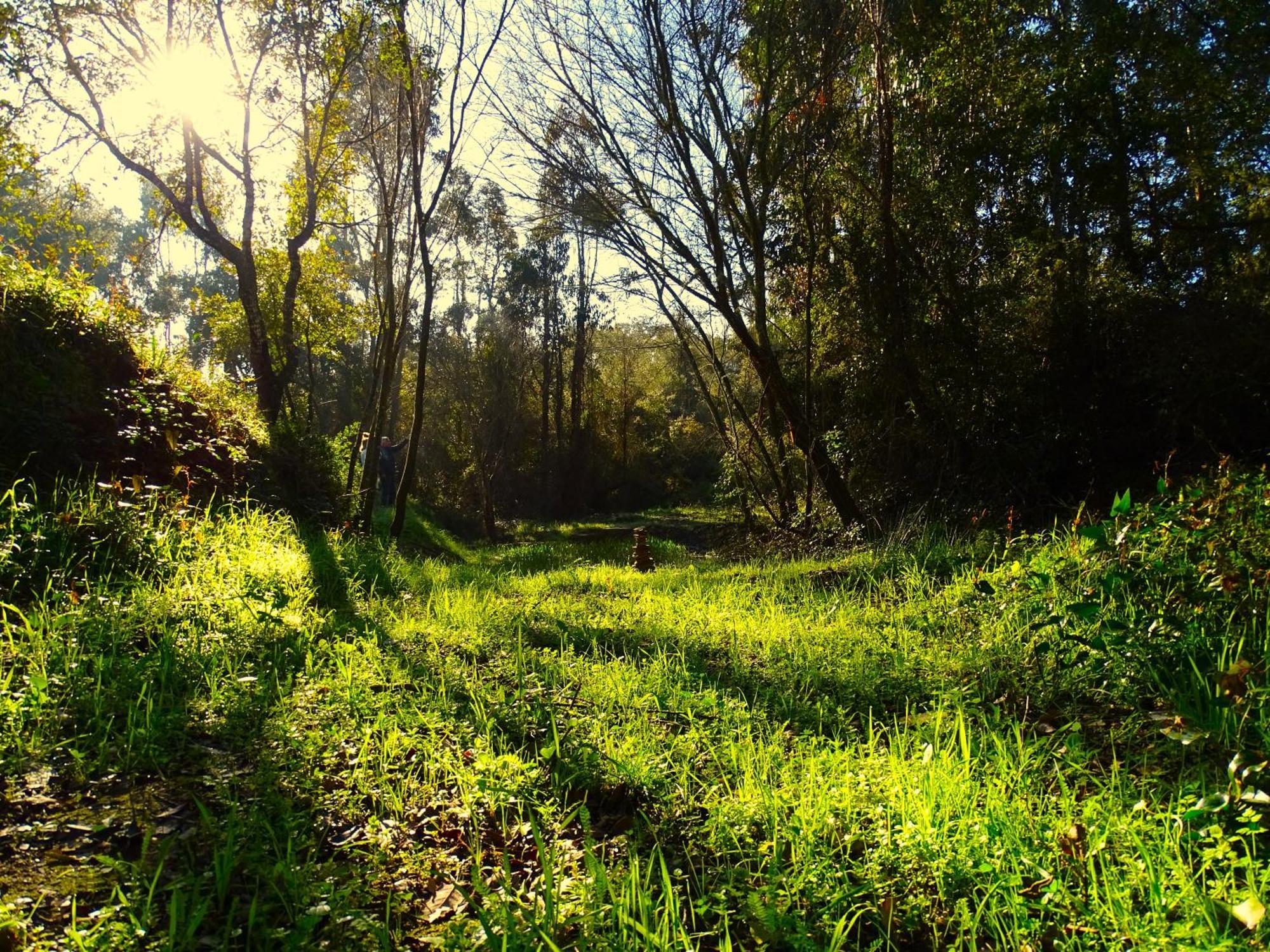 Herdade Vale De Gaios By Stay In Alentejo 상루이스 외부 사진