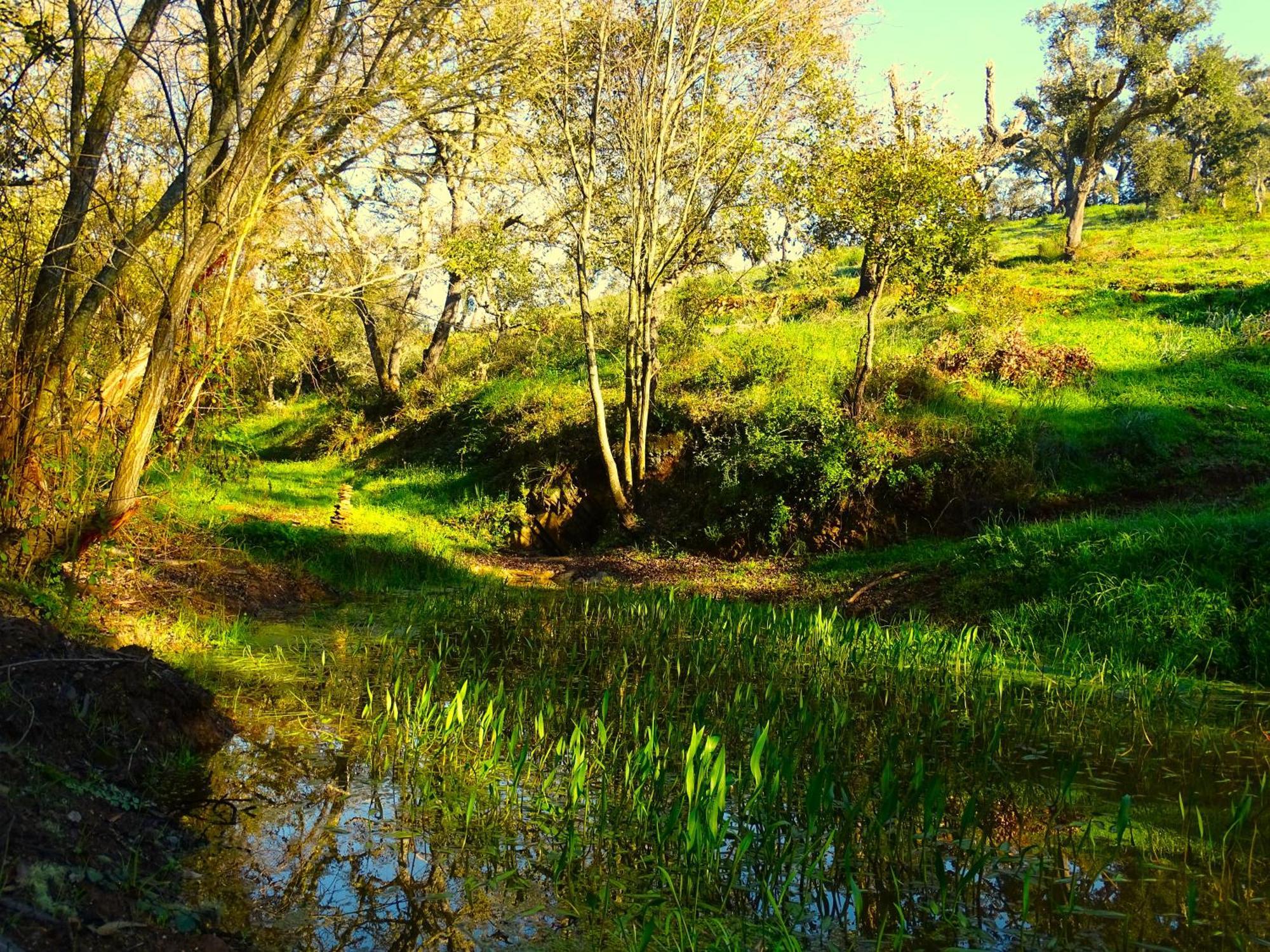 Herdade Vale De Gaios By Stay In Alentejo 상루이스 외부 사진